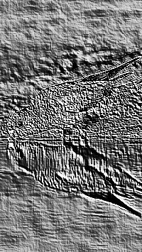 Skamielina