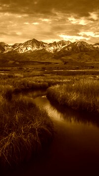 Sepia