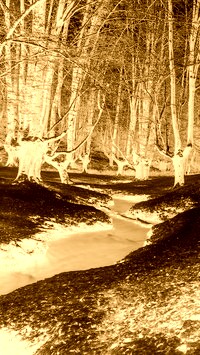 Sepia + Negatyw