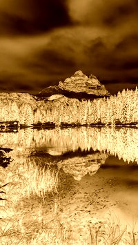 Sepia + Negatyw