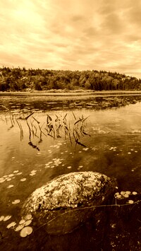 Sepia