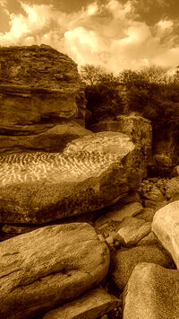 Sepia
