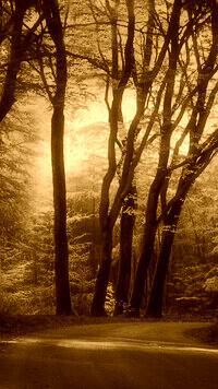 Sepia