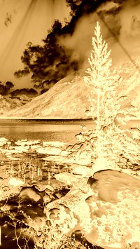 Sepia + Negatyw