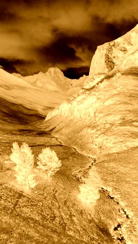 Sepia + Negatyw