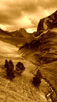 Sepia