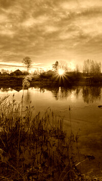 Sepia
