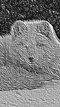 Skamielina