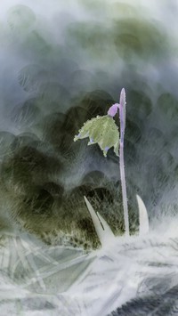 Negatyw