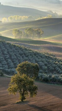 Oryginalny obrazek