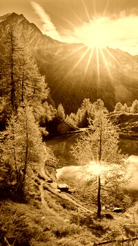Sepia