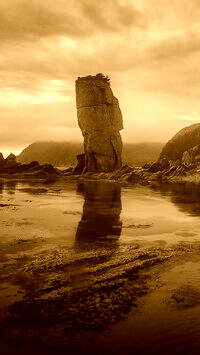 Sepia