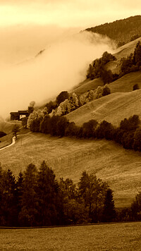 Sepia