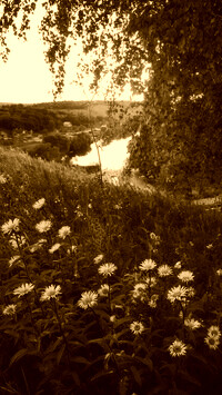 Sepia