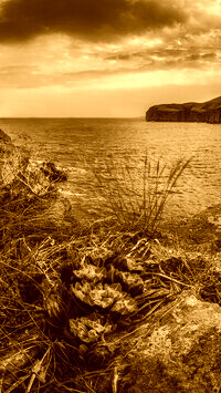 Sepia