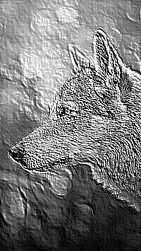 Skamielina