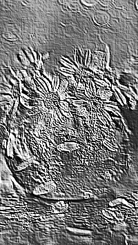 Skamielina