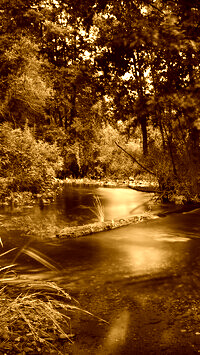 Sepia