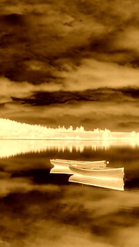 Sepia + Negatyw