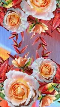 Oryginalny obrazek