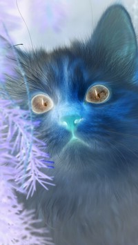 Negatyw