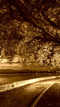 Sepia