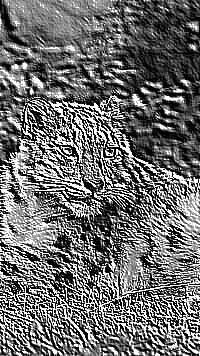 Skamielina