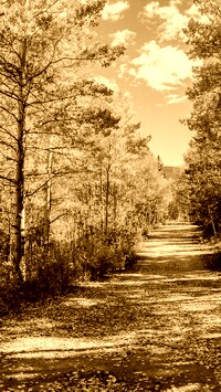 Sepia