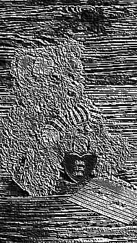 Skamielina