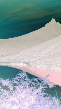 Negatyw