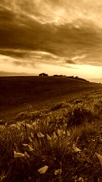 Sepia