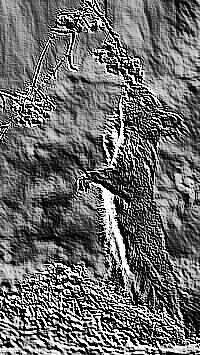 Skamielina