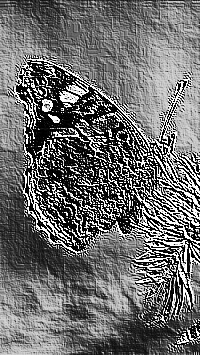 Skamielina