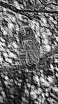 Skamielina