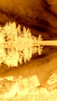 Sepia + Negatyw