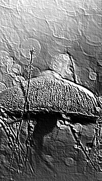 Skamielina