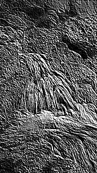 Skamielina