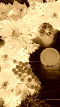 Sepia + Negatyw