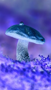 Negatyw