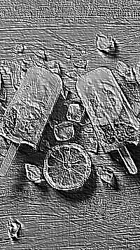 Skamielina