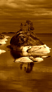 Sepia