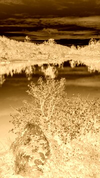 Sepia + Negatyw