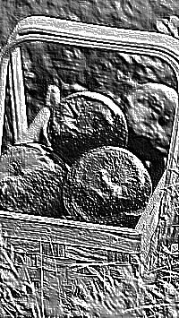 Skamielina