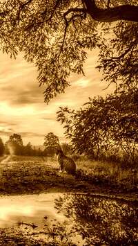 Sepia