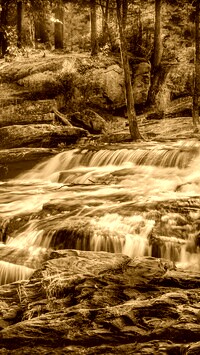 Sepia