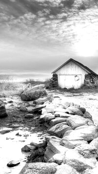 Szary + Sepia