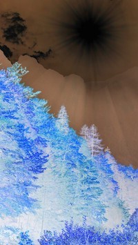 Negatyw