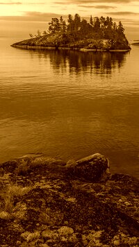 Sepia
