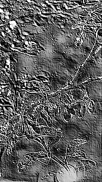 Skamielina