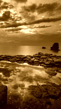 Sepia